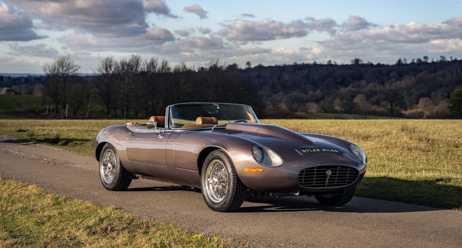 1974 Jaguar V12 E Type Roadster - 6.2 Litre photographed in park