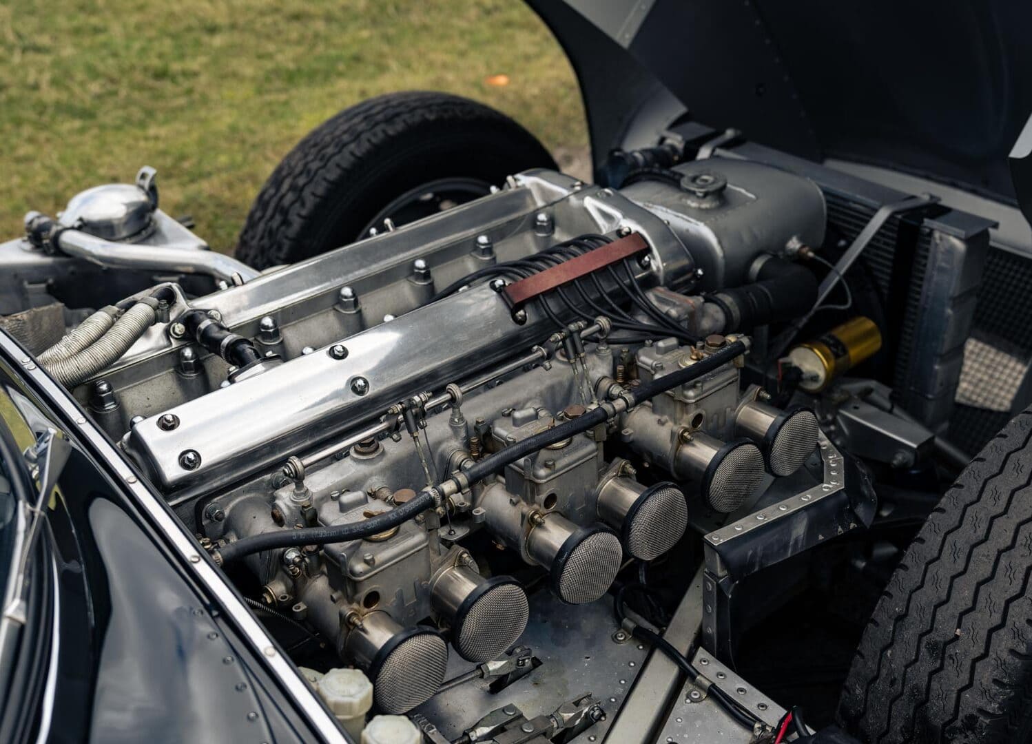 1967 Lynx XKSS